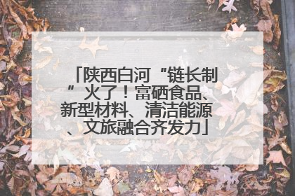 陕西白河“链长制”火了！富硒食品、新型材料、清洁能源、文旅融合齐发力