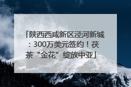 陕西西咸新区泾河新城：300万美元签约！茯茶“金花”绽放中亚