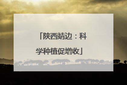 陕西靖边：科学种植促增收