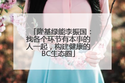 隆基绿能李振国：找各个环节有本事的人一起，构建健康的BC生态圈