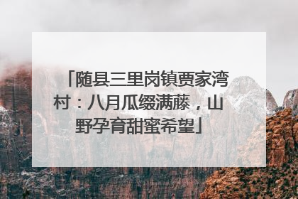 随县三里岗镇贾家湾村：八月瓜缀满藤，山野孕育甜蜜希望