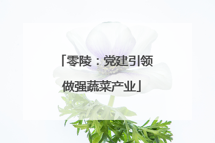 零陵：党建引领 做强蔬菜产业