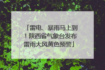雷电、暴雨马上到！陕西省气象台发布雷雨大风黄色预警
