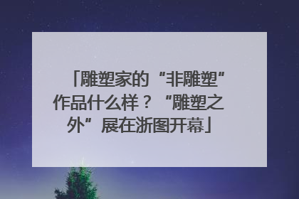 雕塑家的“非雕塑”作品什么样？“雕塑之外”展在浙图开幕