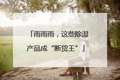 雨雨雨，这些除湿产品成“断货王”