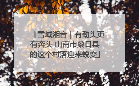雪域湘音｜有劲头更有奔头 山南市桑日县的这个村落迎来蜕变