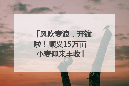 风吹麦浪，开镰啦！顺义15万亩小麦迎来丰收