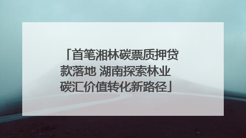 首笔湘林碳票质押贷款落地 湖南探索林业碳汇价值转化新路径