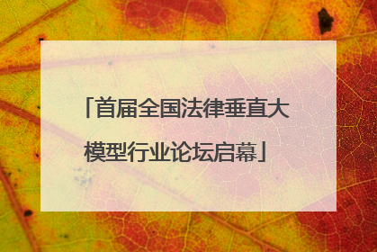 首届全国法律垂直大模型行业论坛启幕