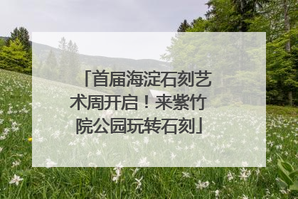 首届海淀石刻艺术周开启！来紫竹院公园玩转石刻