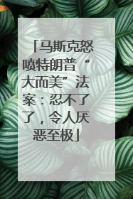 马斯克怒喷特朗普“大而美”法案：忍不了了，令人厌恶至极