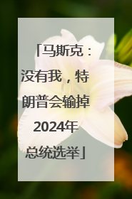 马斯克：没有我，特朗普会输掉2024年总统选举