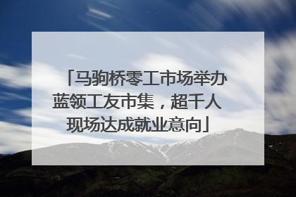 马驹桥零工市场举办蓝领工友市集，超千人现场达成就业意向