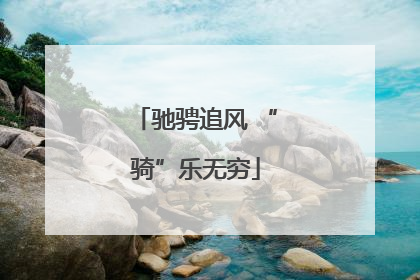 驰骋追风 “骑”乐无穷