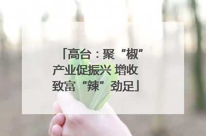 高台：聚“椒”产业促振兴 增收致富“辣”劲足
