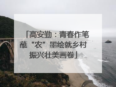 高安勤：青春作笔蘸“农”墨绘就乡村振兴壮美画卷