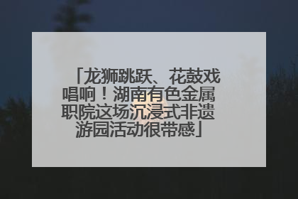 龙狮跳跃、花鼓戏唱响！湖南有色金属职院这场沉浸式非遗游园活动很带感