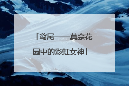 鸢尾——莫奈花园中的彩虹女神