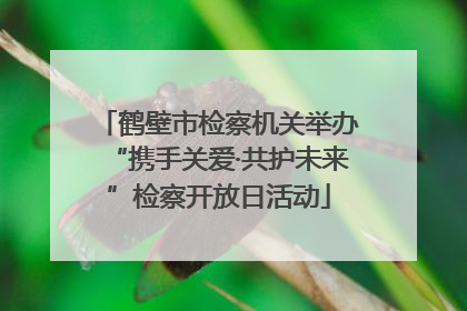 鹤壁市检察机关举办“携手关爱·共护未来”检察开放日活动