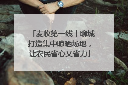 麦收第一线丨聊城打造集中晾晒场地，让农民省心又省力