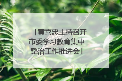 黄喜忠主持召开市委学习教育集中整治工作推进会