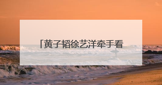黄子韬徐艺洋牵手看鹿晗演唱会，“老相识” 同框太好嗑！
