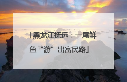 黑龙江抚远：一尾鲜鱼“游”出富民路