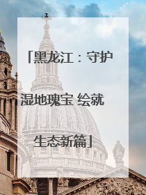 黑龙江：守护湿地瑰宝 绘就生态新篇