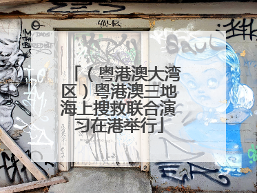 （粤港澳大湾区）粤港澳三地海上搜救联合演习在港举行