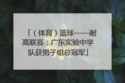 （体育）篮球——耐高联赛：广东实验中学队获男子组总冠军