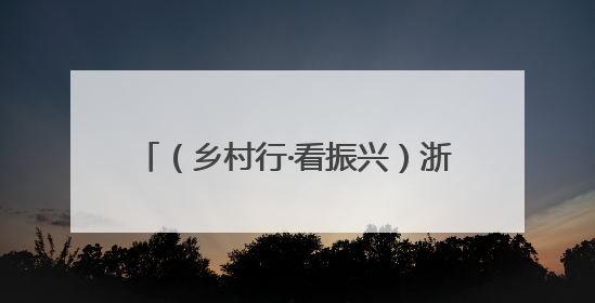（乡村行·看振兴）浙江磐安：一村一画像 山水也能带“流量”