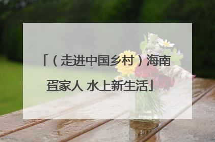 （走进中国乡村）海南疍家人 水上新生活