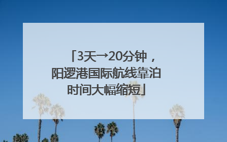 3天→20分钟，阳逻港国际航线靠泊时间大幅缩短