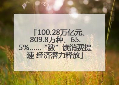 100.28万亿元、809.8万种、65.5%……“数”读消费提速 经济潜力释放