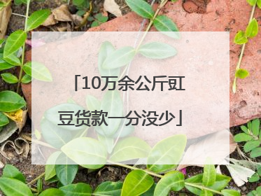 10万余公斤豇豆货款一分没少