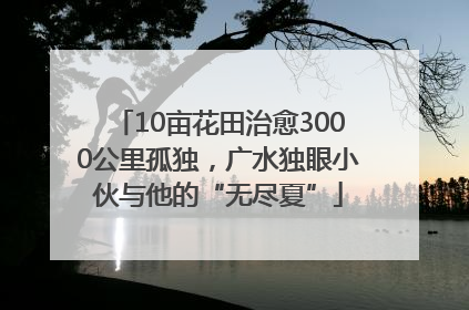 10亩花田治愈3000公里孤独，广水独眼小伙与他的“无尽夏”