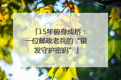 15年俯身成桥：一位邮政老兵的“银发守护密码”