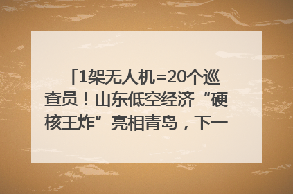 1架无人机=20个巡查员！山东低空经济“硬核王炸”亮相青岛，下一个万亿赛道藏在这里