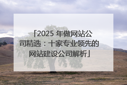2025 年做网站公司精选：十家专业领先的网站建设公司解析