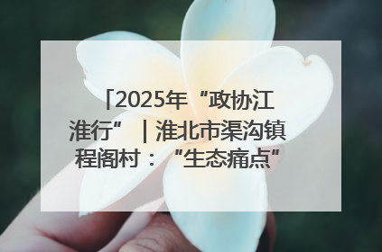 2025年“政协江淮行”｜淮北市渠沟镇程阁村：“生态痛点”变“生态景观”
