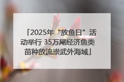 2025年“放鱼日”活动举行 35万尾经济鱼类苗种放流崇武外海域