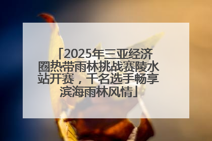 2025年三亚经济圈热带雨林挑战赛陵水站开赛，千名选手畅享滨海雨林风情
