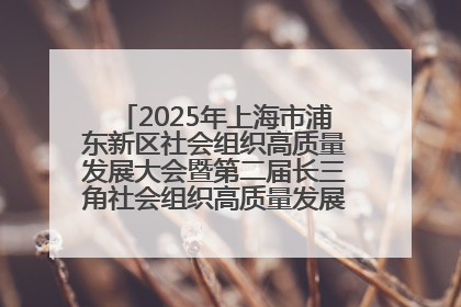 2025年上海市浦东新区社会组织高质量发展大会暨第二届长三角社会组织高质量发展峰会成功举办