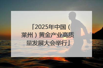 2025年中国（莱州）黄金产业高质量发展大会举行