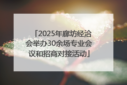2025年廊坊经洽会举办30余场专业会议和招商对接活动