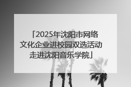2025年沈阳市网络文化企业进校园双选活动走进沈阳音乐学院