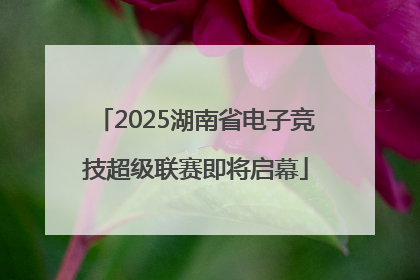 2025湖南省电子竞技超级联赛即将启幕