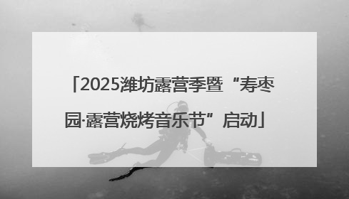 2025潍坊露营季暨“寿枣园·露营烧烤音乐节”启动