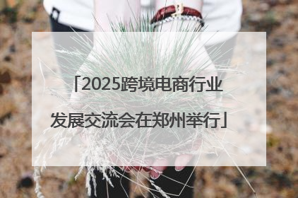 2025跨境电商行业发展交流会在郑州举行