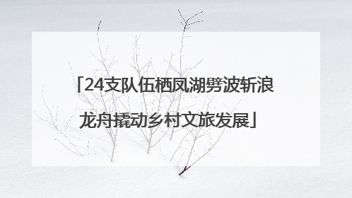 24支队伍栖凤湖劈波斩浪 龙舟撬动乡村文旅发展